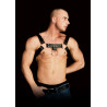 Ouch! Harness Harnais simili cuir ajustable Costas